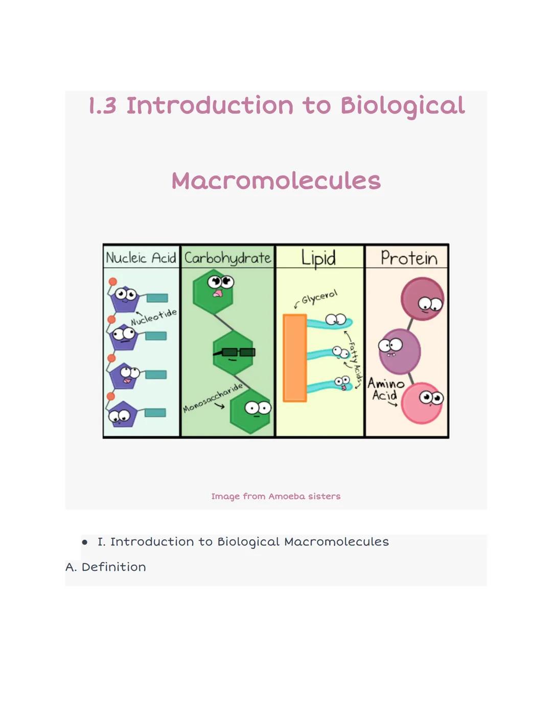 # 1.3 Introduction to Biological

# Macromolecules

| Nucleic Acid | Carbohydrate | Lipid | Protein |
|---|---|---|---|
|![Nucleic Acid](nul
