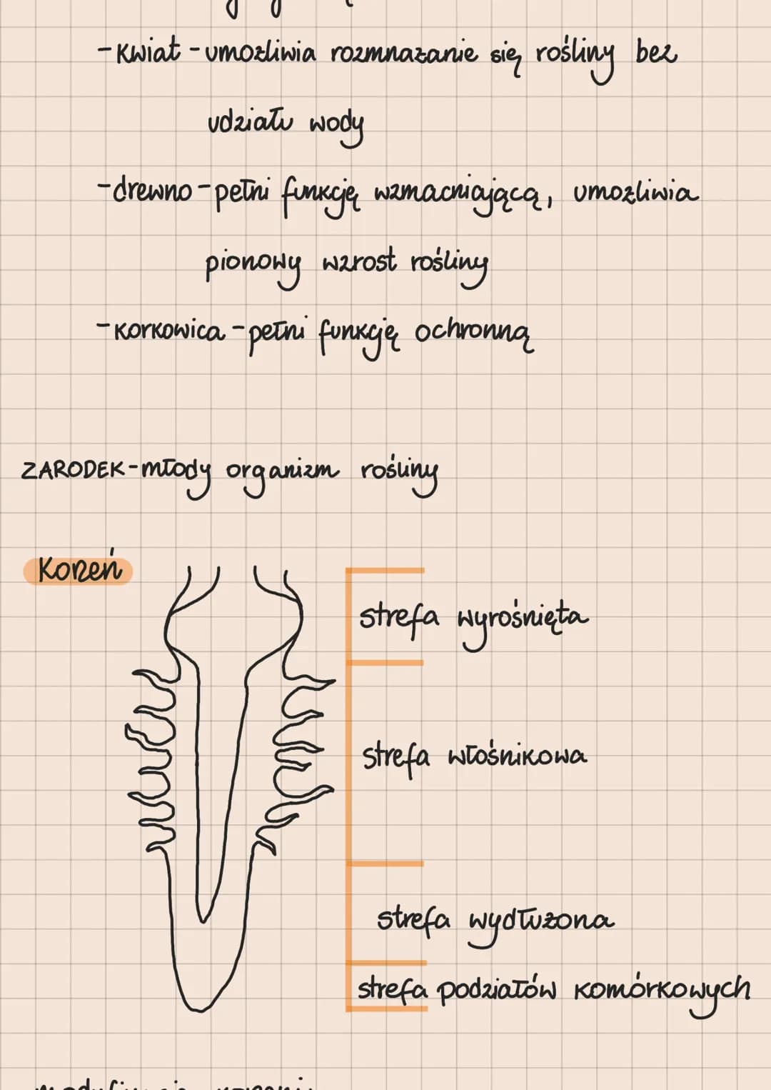 # ROŚLINY PIERWOTNIE WODNE

1. Zielenice

-mają zdolność ruchu

-mogą występować w roznych
formach morfologicznych

- występują głównie w śr