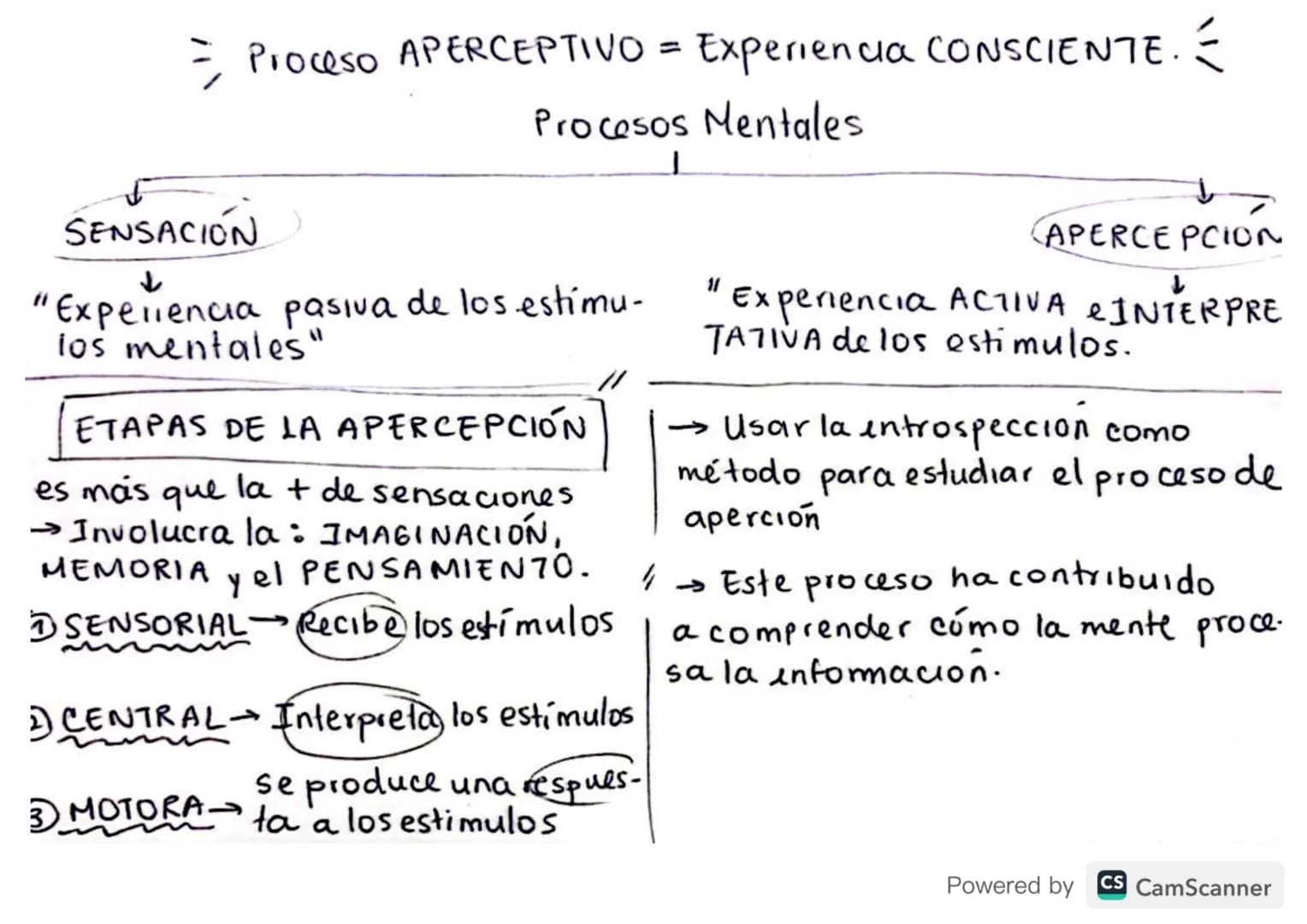 ciquien era?
Wilhem Wundt. - Nació en Alemania en 1832
- → Fundador de la psicologia cientifical Padre de la Psicología
- → Era médico Exper