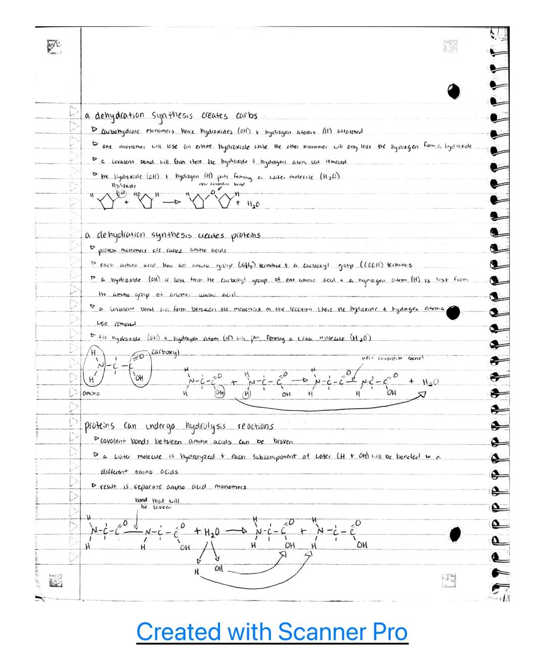 AP B.u classroom notes~

Unit 1

1.1 - Structure of water and hydrogen bonding.

the subcomponents of biological molecules determine the pro