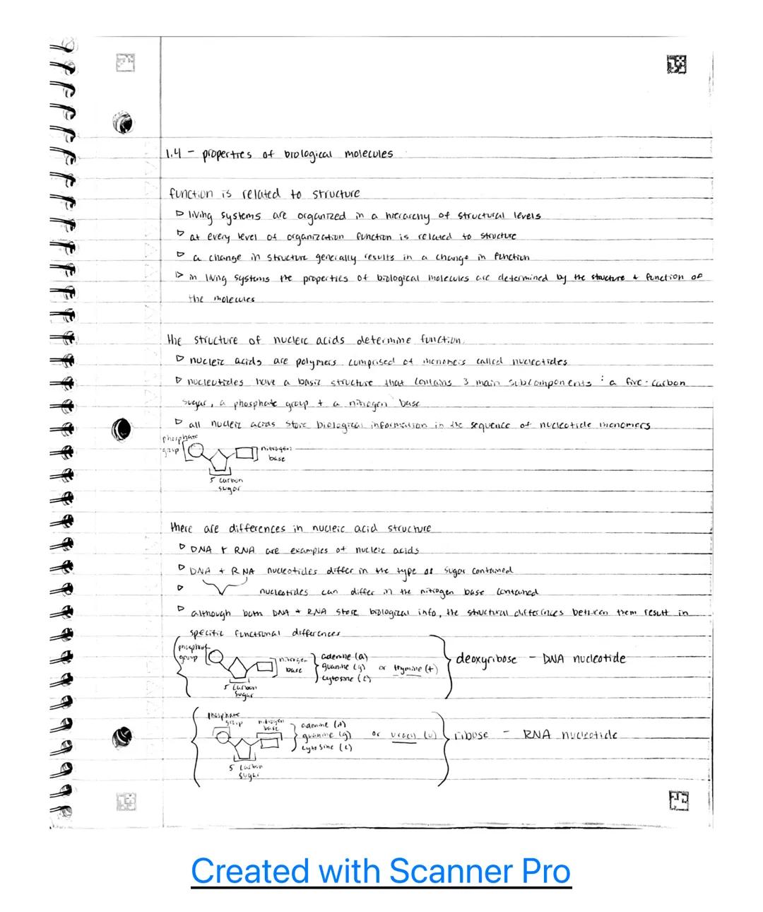 AP B.u classroom notes~

Unit 1

1.1 - Structure of water and hydrogen bonding.

the subcomponents of biological molecules determine the pro