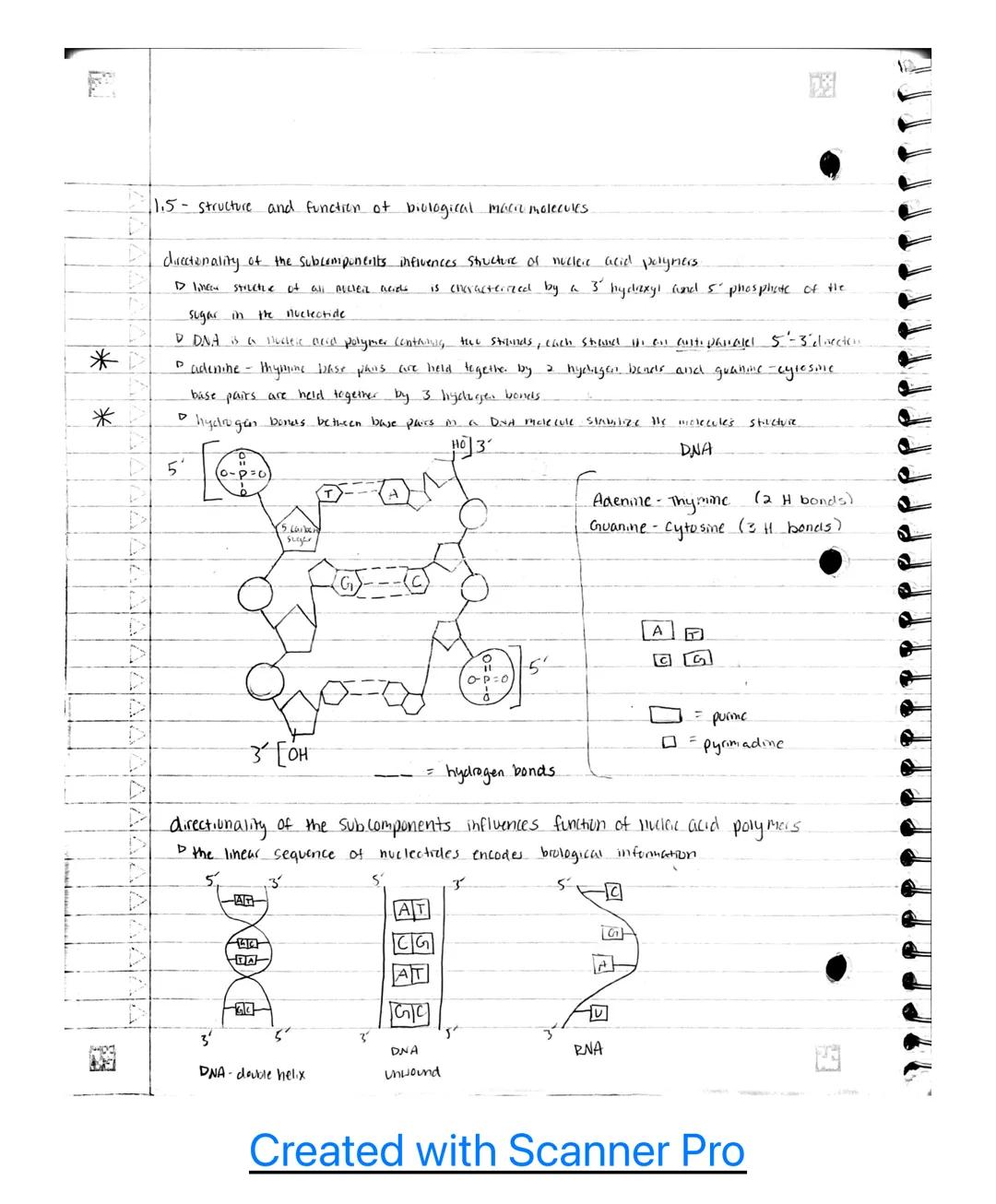 AP B.u classroom notes~

Unit 1

1.1 - Structure of water and hydrogen bonding.

the subcomponents of biological molecules determine the pro