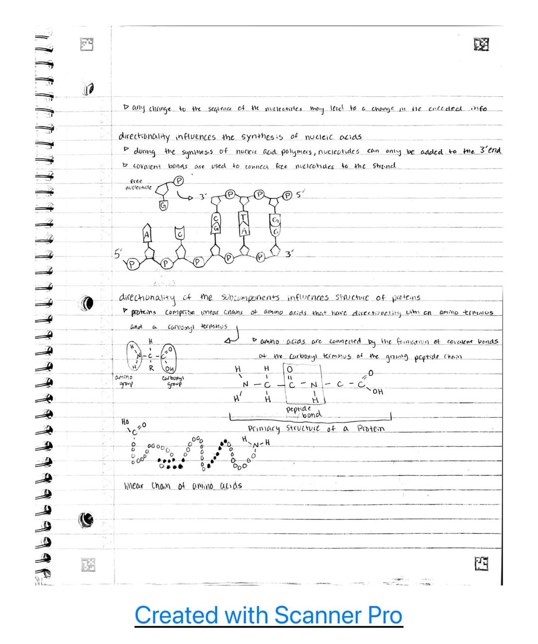 AP B.u classroom notes~

Unit 1

1.1 - Structure of water and hydrogen bonding.

the subcomponents of biological molecules determine the pro