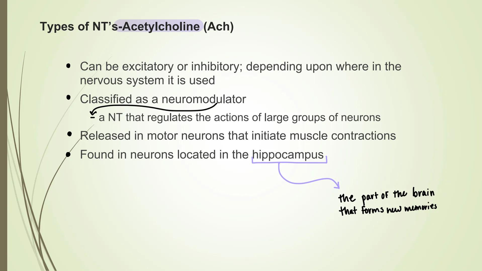 # The synapse and neurotransmitters

Excitatory Neurotransmitters
•Starts impulse transmission

• Will start a new impulse in the postsynapt