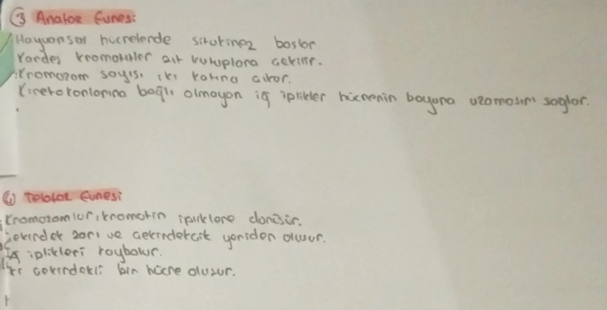 # HÜCRE BOLÜNMESİ
Sinin hocresi
Giagdi bas hücresi
Alyavarlar
Yumurta hücres
Sperm hucrest
Retina
}
haploitin
diptors 2n
BOLONNEZ

# Hocreni