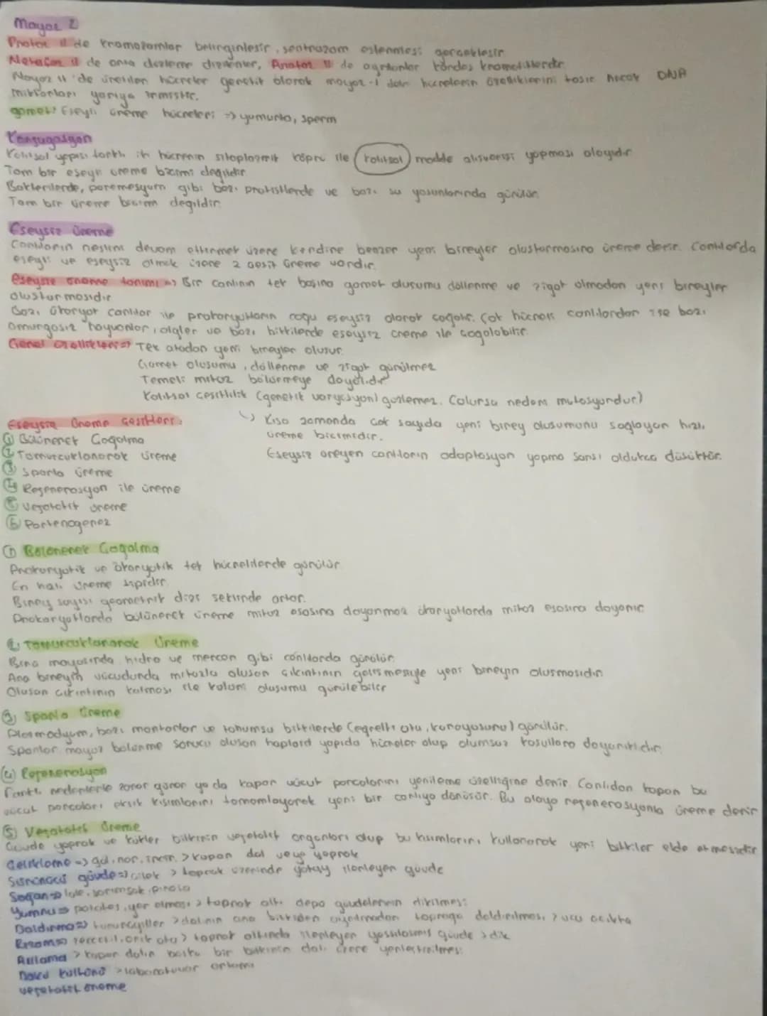 # HÜCRE BOLÜNMESİ
Sinin hocresi
Giagdi bas hücresi
Alyavarlar
Yumurta hücres
Sperm hucrest
Retina
}
haploitin
diptors 2n
BOLONNEZ

# Hocreni