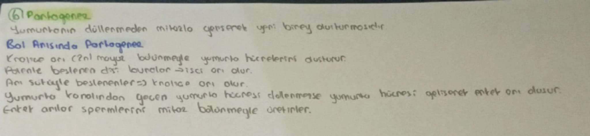 # HÜCRE BOLÜNMESİ
Sinin hocresi
Giagdi bas hücresi
Alyavarlar
Yumurta hücres
Sperm hucrest
Retina
}
haploitin
diptors 2n
BOLONNEZ

# Hocreni