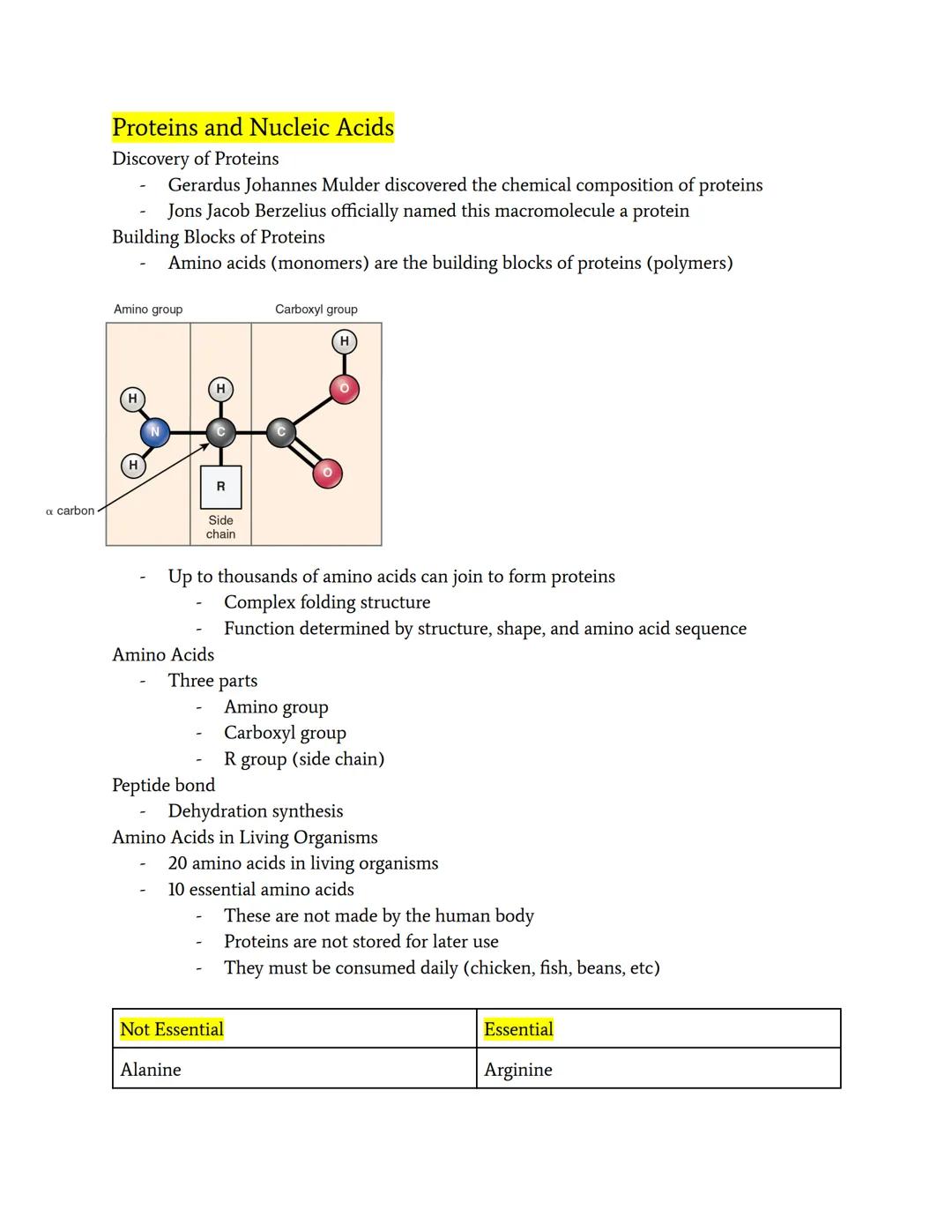 Proteins and Nucleic Acids

Discovery of Proteins
- Gerardus Johannes Mulder discovered the chemical composition of proteins
- Jons Jacob Be