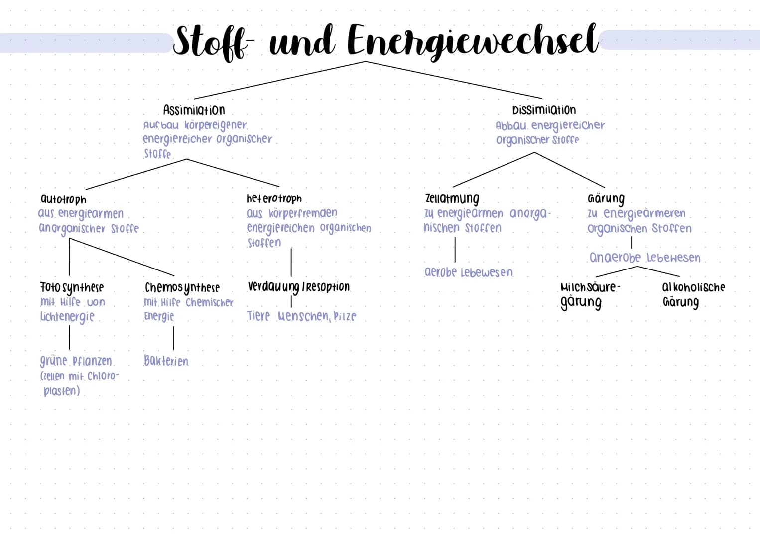 # Stoff und-
Energiewechsel # Stoff- und Energiewechsel

Assimilation
Ausbau körpereigener.
energiereicher organischer
Stoffe

Dissimilation