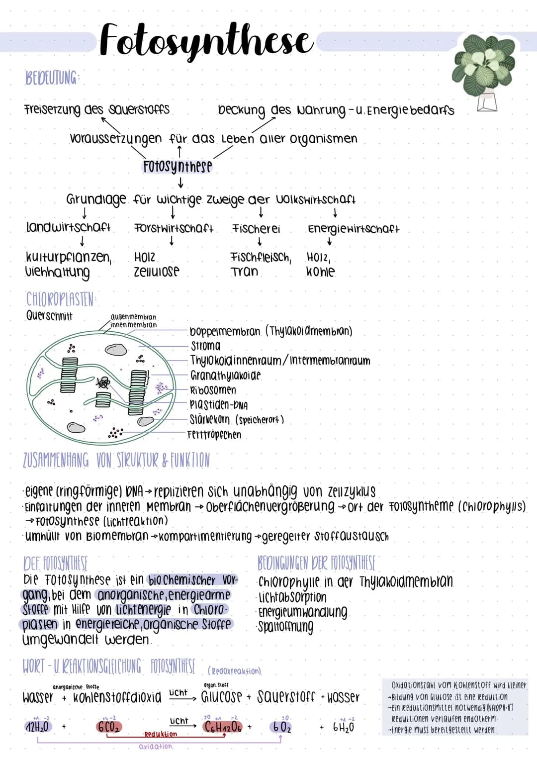 # Stoff und-
Energiewechsel # Stoff- und Energiewechsel

Assimilation
Ausbau körpereigener.
energiereicher organischer
Stoffe

Dissimilation