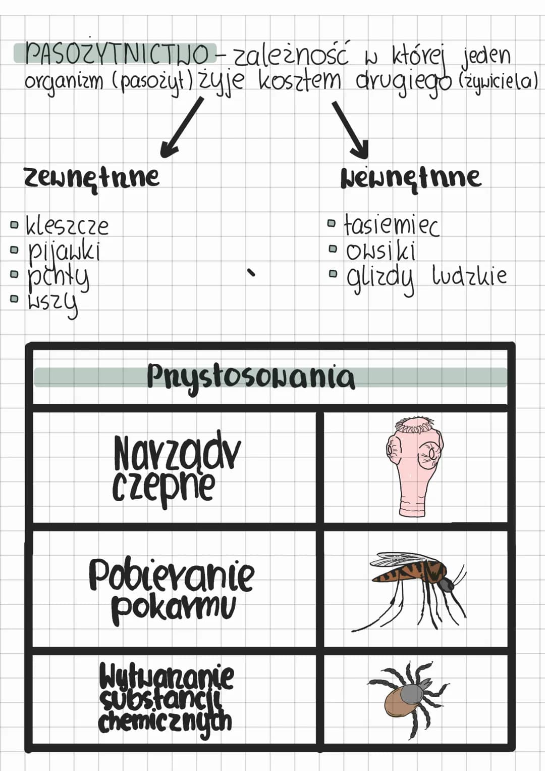 ekologia

Dział III

NISZA EKOLOGICZNA - określone wymagania
życiowe organizmu.

Składa się z :
*   Warunki środowiska
*   Dostępność zasobó