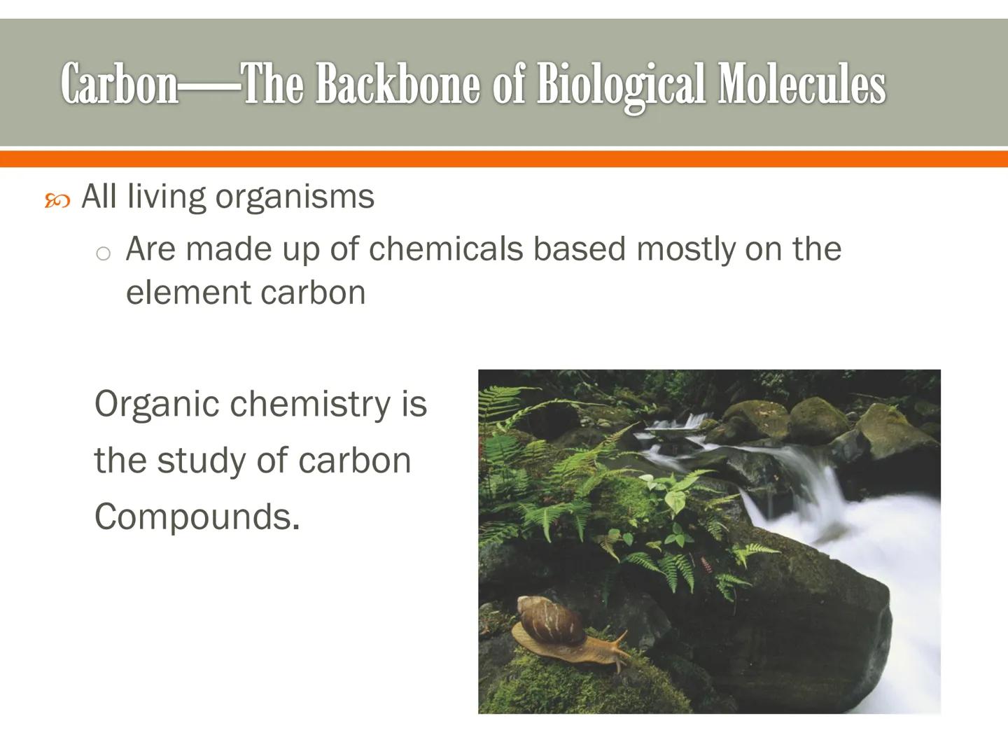 # Carbon and the Molecular

# Diversity of Life

Lecture 2a # Carbon—The Backbone of Biological Molecules

All living organisms

*   Are mad