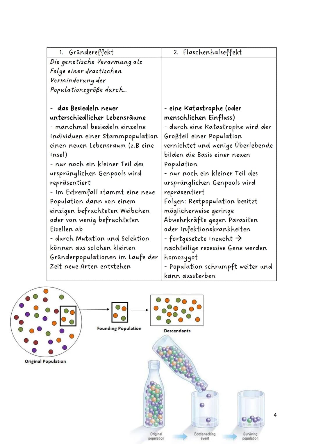 # Evolution

Glossar:

|                   |                                                                                                
