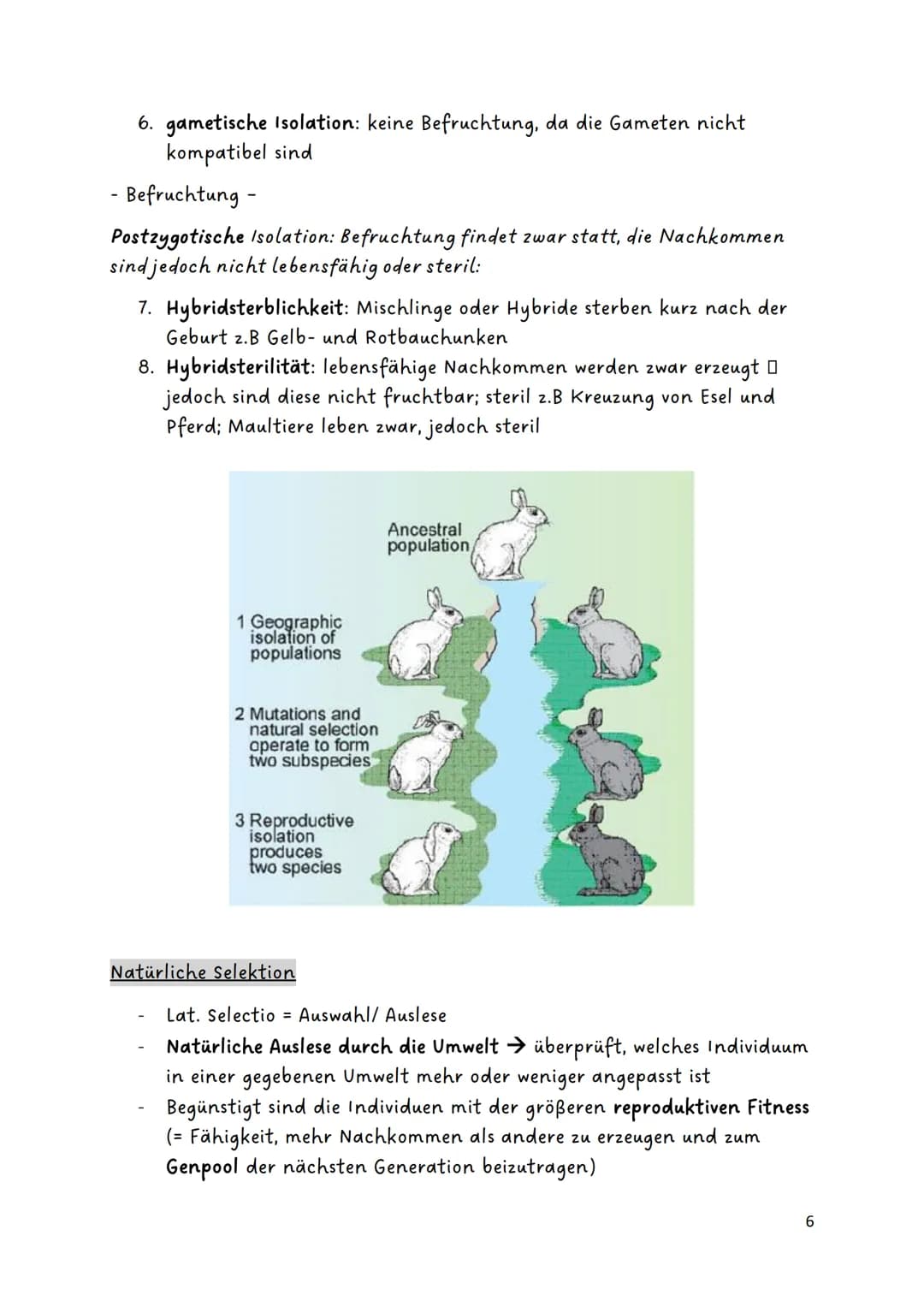 # Evolution

Glossar:

|                   |                                                                                                