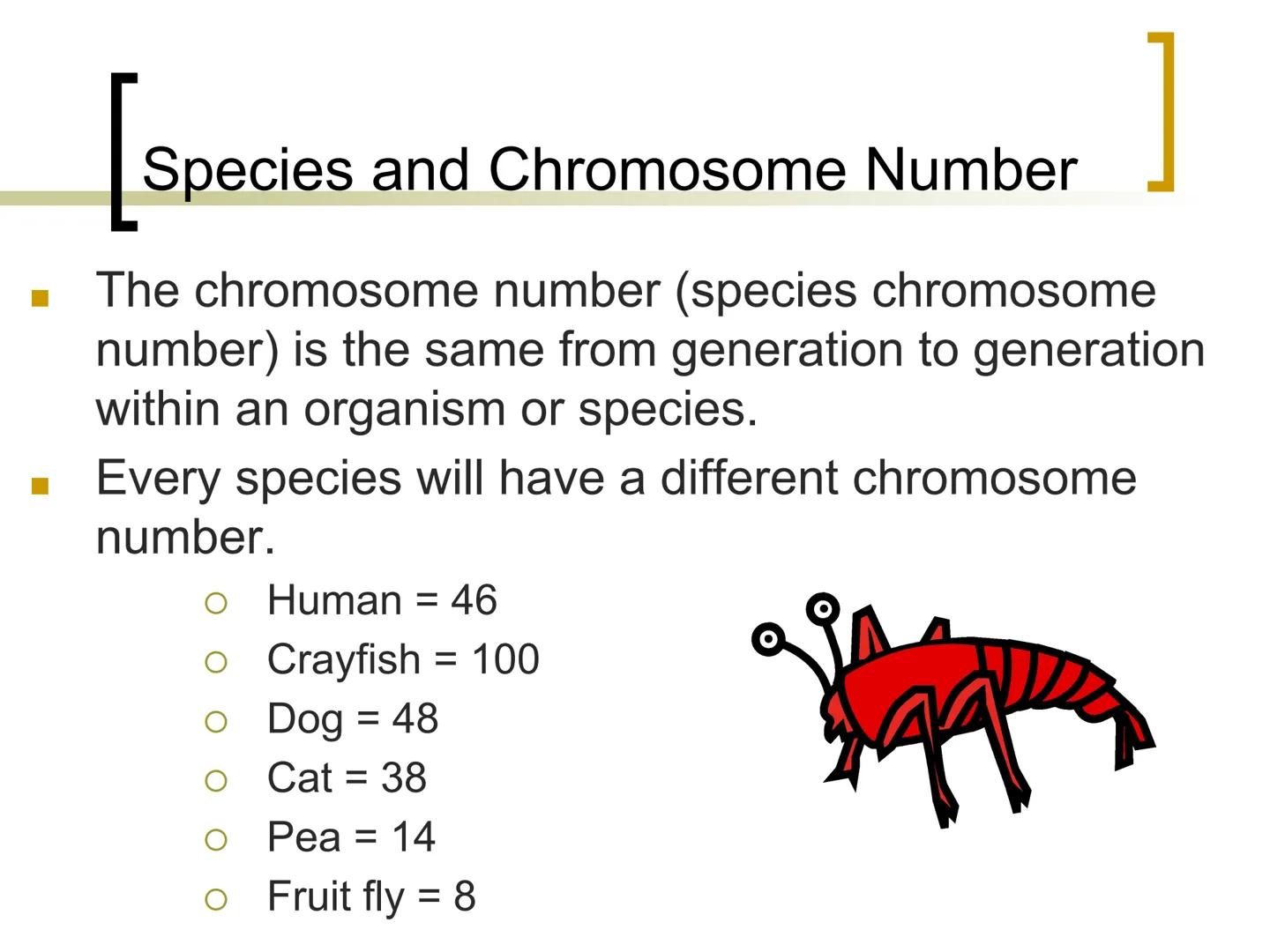
<p>Genetics is the study of heredity, which involves the passing of traits from parents to offspring. Traits such as hair color, eye color,