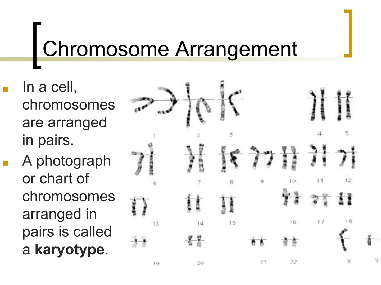 
<p>Genetics is the study of heredity, which involves the passing of traits from parents to offspring. Traits such as hair color, eye color,