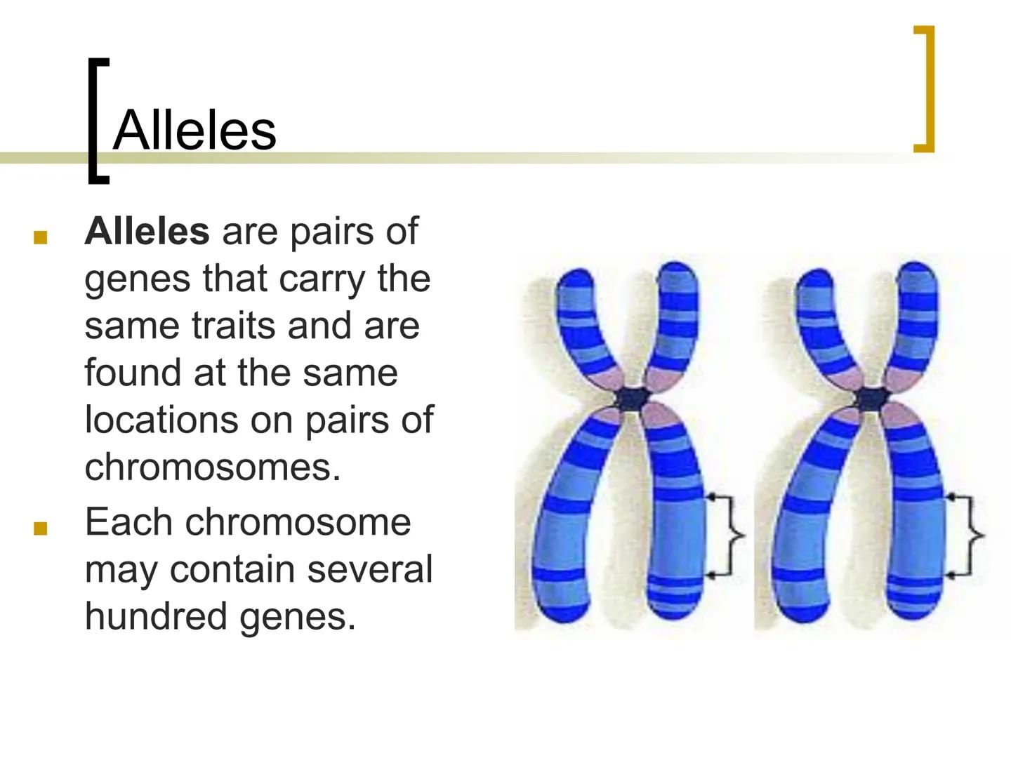 
<p>Genetics is the study of heredity, which involves the passing of traits from parents to offspring. Traits such as hair color, eye color,