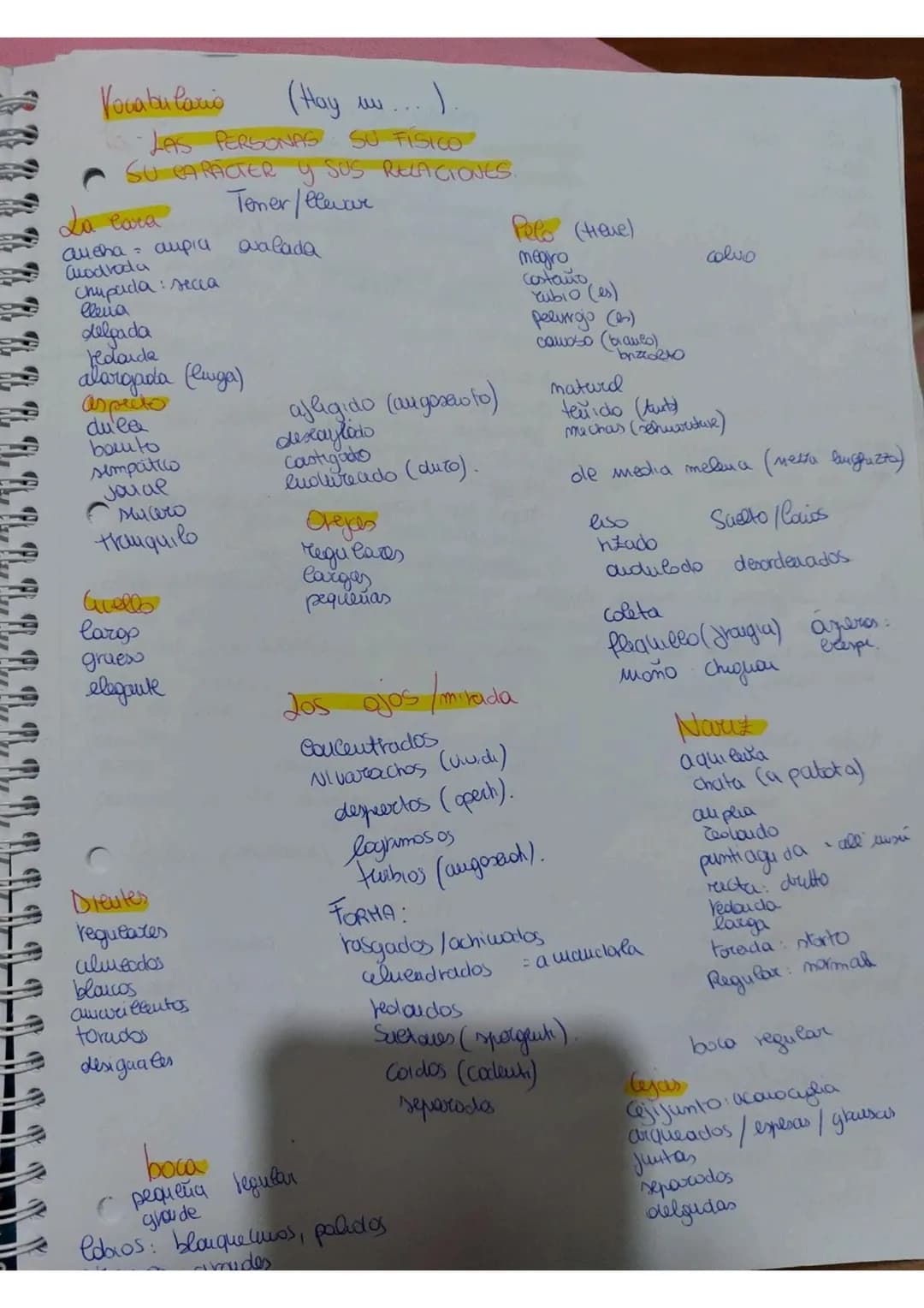 <h2>Descripción física</h2>
<p>En este texto se describen las características físicas de una persona, incluyendo su rostro, cuerpo y cabello