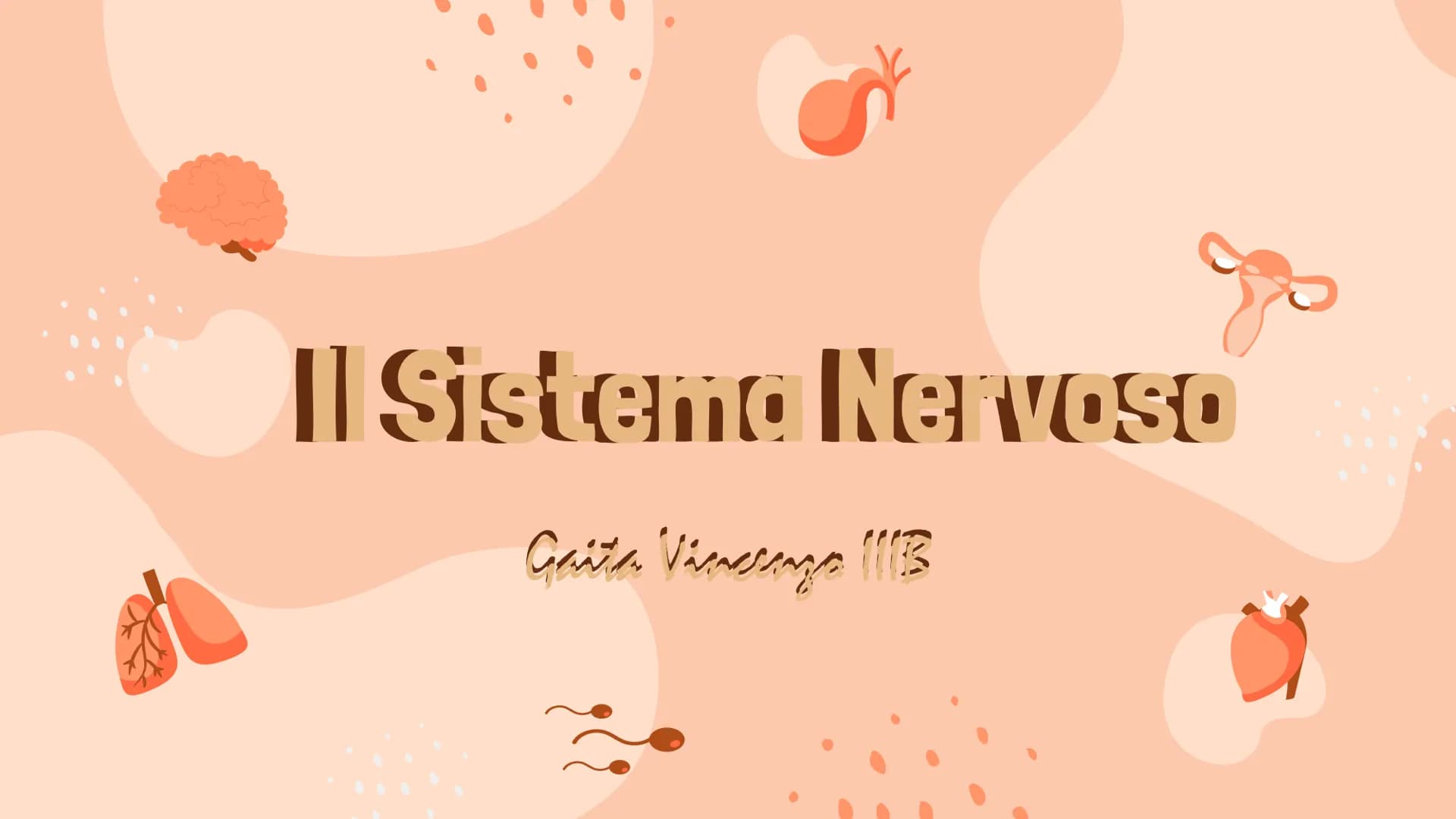 # Il Sistema Nervoso

Gaeta Vincenzo IIIB # Il Sistema Nervoso

Il sistema nervoso dell'uomo
si compone in tre parti:
* Sistema Nervoso Cent