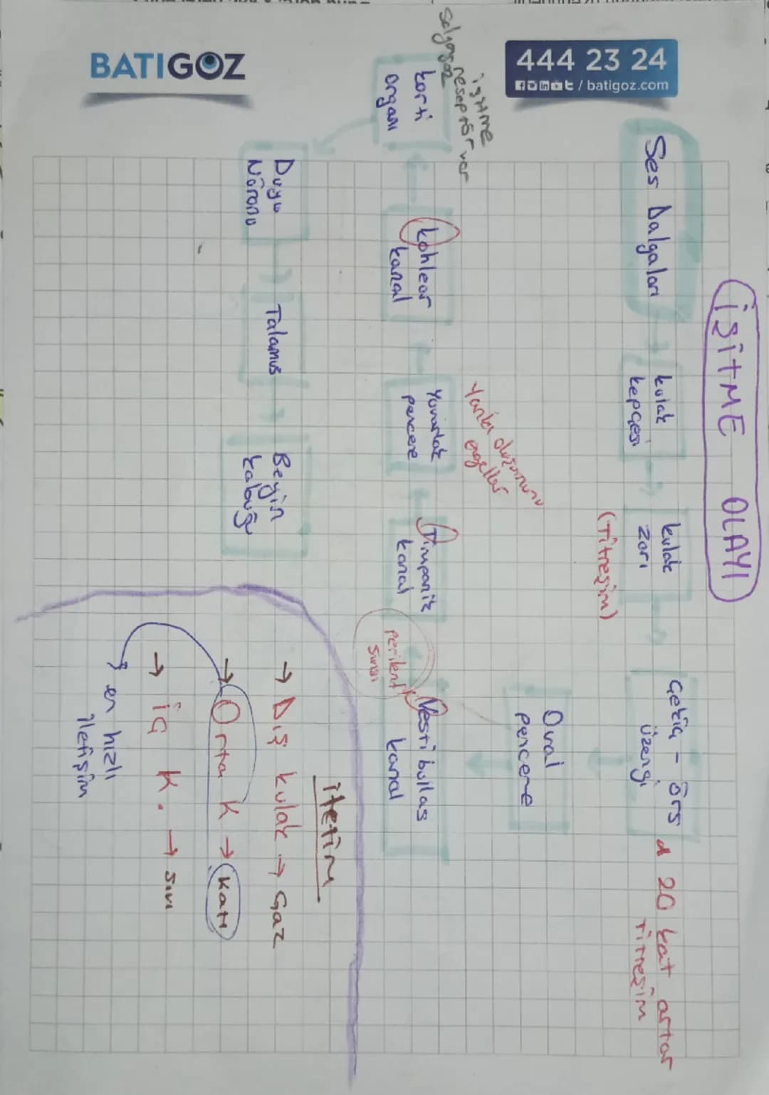 Kulak
Kepçesi

Orta Kulak
as
Gekia
Kulak yolu

Dış Kulak
kulak
2051

→üzergi

Ostaki
borusu
دا
Tulumcuk
Kesecik
Viçinde
tos
denge Of Ol
Yarı