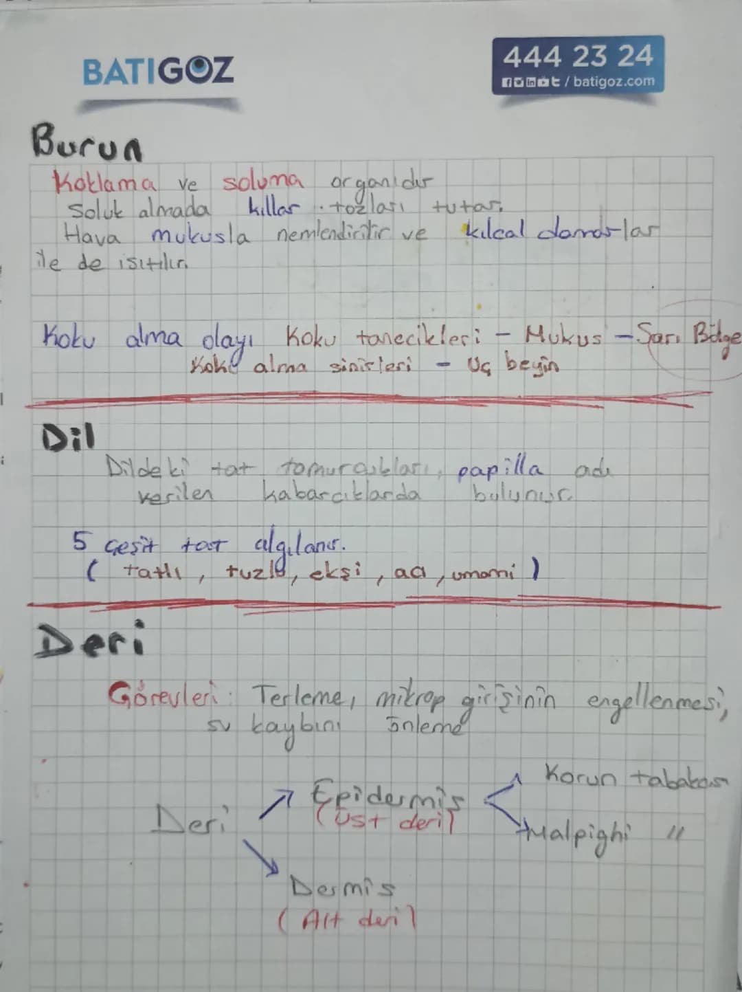 Kulak
Kepçesi

Orta Kulak
as
Gekia
Kulak yolu

Dış Kulak
kulak
2051

→üzergi

Ostaki
borusu
دا
Tulumcuk
Kesecik
Viçinde
tos
denge Of Ol
Yarı