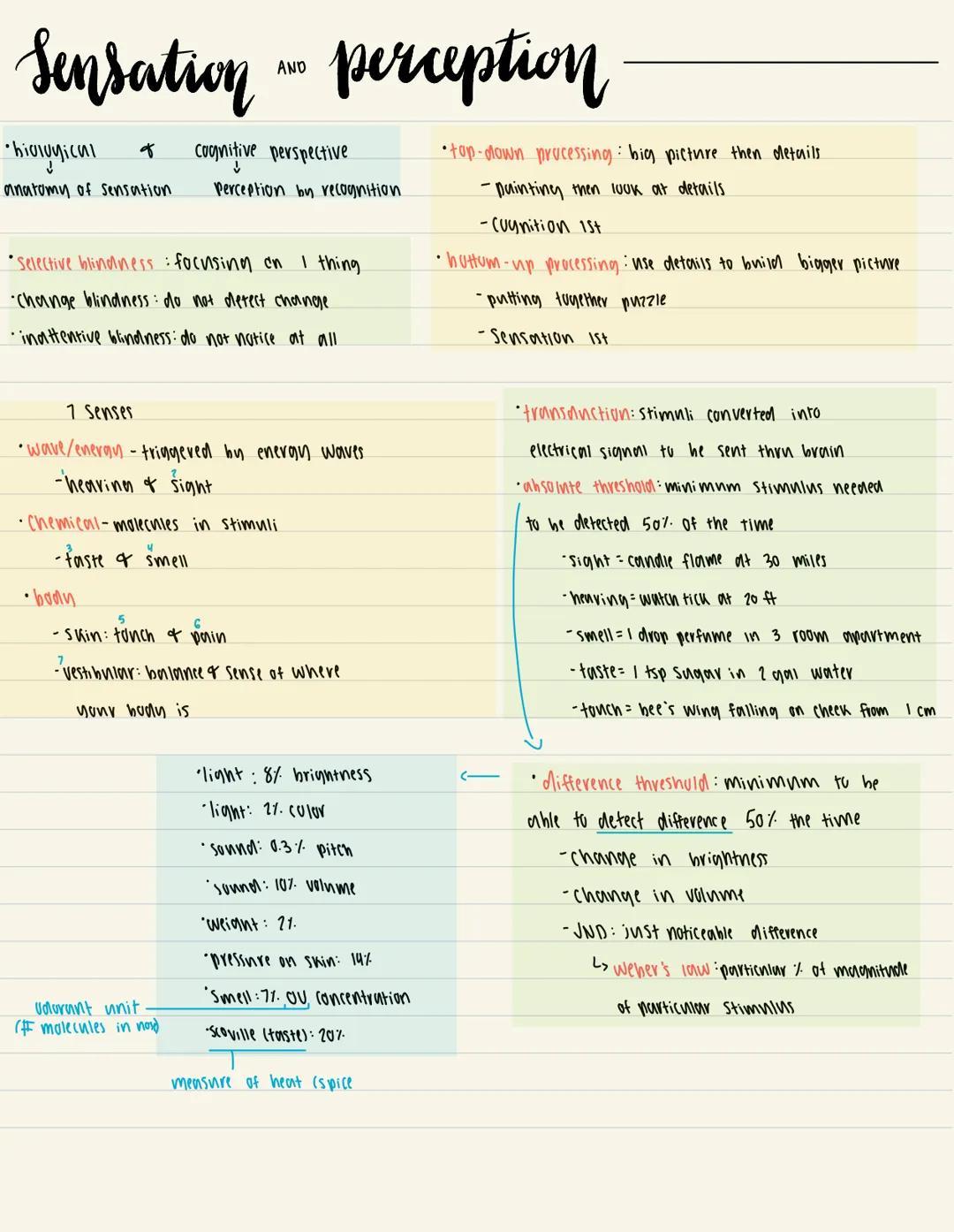 # Sensation AND perception

*   biological & cognitive perspective
anatomy of sensation perception by recognition

*Selective blindness: foc