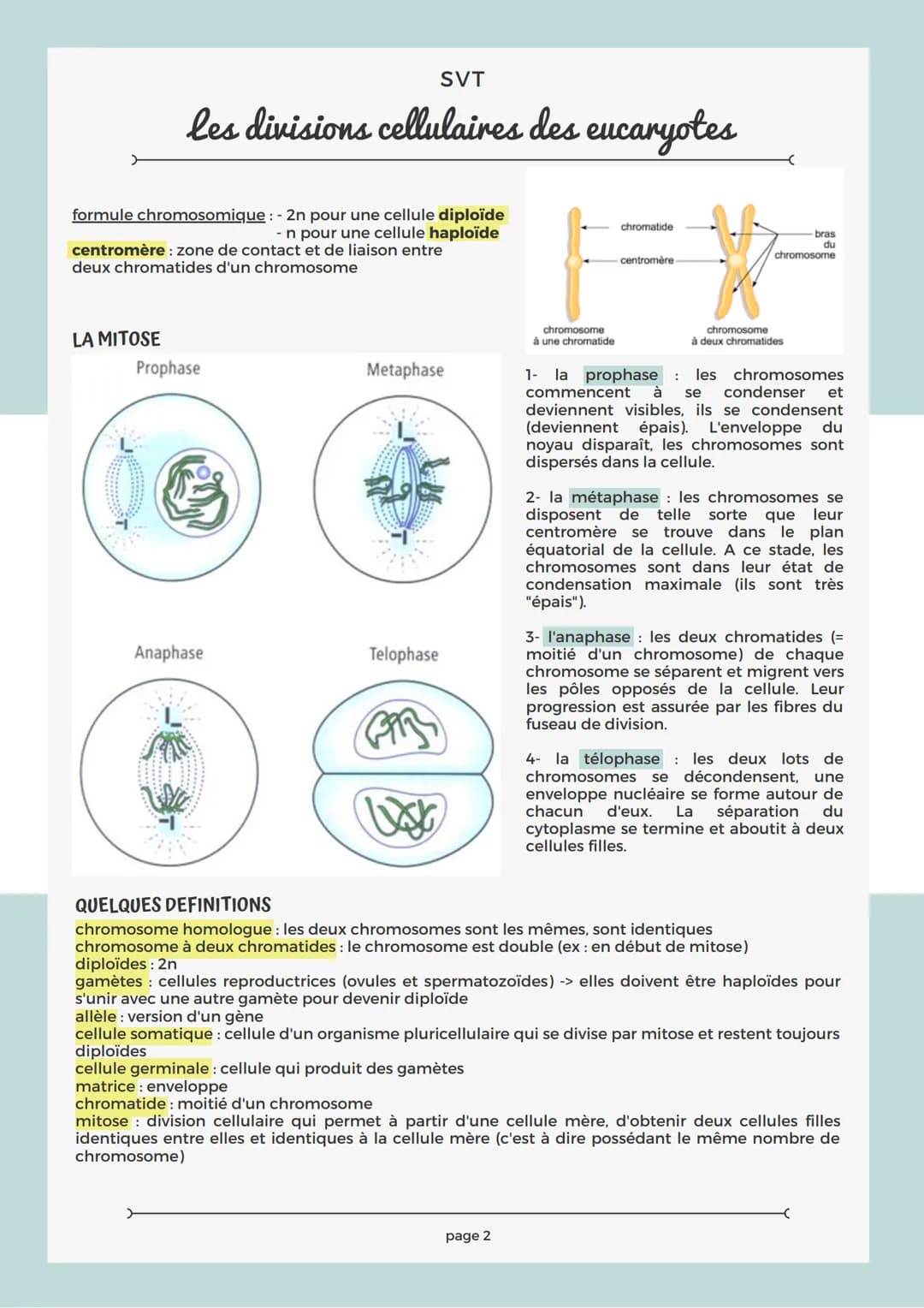 # SVT

les divisions cellulaires des eucaryotes

## RAPPEL SUR LA CELLULE

Les structures comme le noyau, la mitochondrie, le réticulum endo