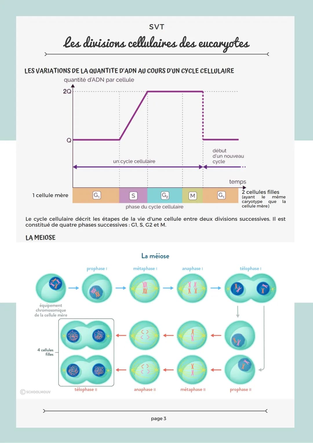 # SVT

les divisions cellulaires des eucaryotes

## RAPPEL SUR LA CELLULE

Les structures comme le noyau, la mitochondrie, le réticulum endo