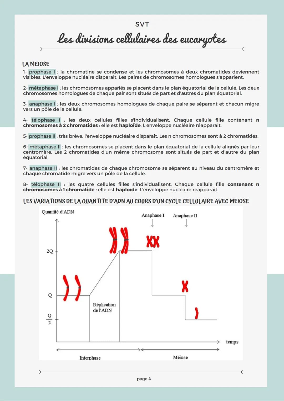 # SVT

les divisions cellulaires des eucaryotes

## RAPPEL SUR LA CELLULE

Les structures comme le noyau, la mitochondrie, le réticulum endo