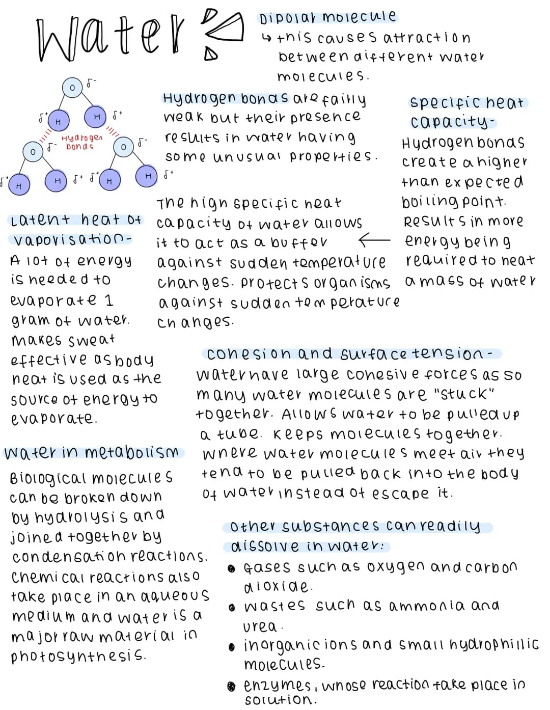 # Water

δ

Η δ

H

0

Hydrogen

5 bonds

0

H

H

H

Latent heat of
vaporisation-
A lot of energy
is needed to
evaporate 1
gram of water.
m