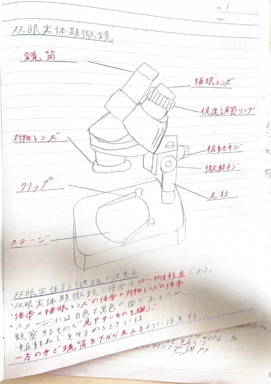 双眼実体顕微鏡
鏡筒
対物レンズ
クリップ
ステージ
-接眼レンズ
・視度調節リンダー
-粗動市ジ
微動ネジ
支柱
双眼実体显页微鏡の注意点
・双眼実体顕微鏡の倍率は20~40倍程度である。
・倍率=接眼レンズの倍率×対物レン状の倍率
・ステージには白色と黒色の面があるため、
観