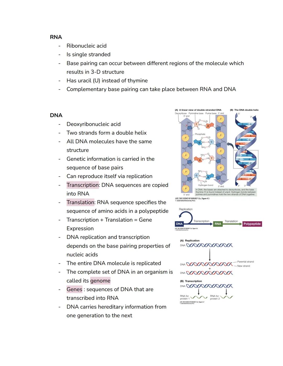 # Chapter 4: Nucleic Acids and the Origins of Life

- The search for life on Mars involves the two chemical signatures of life: the
presence