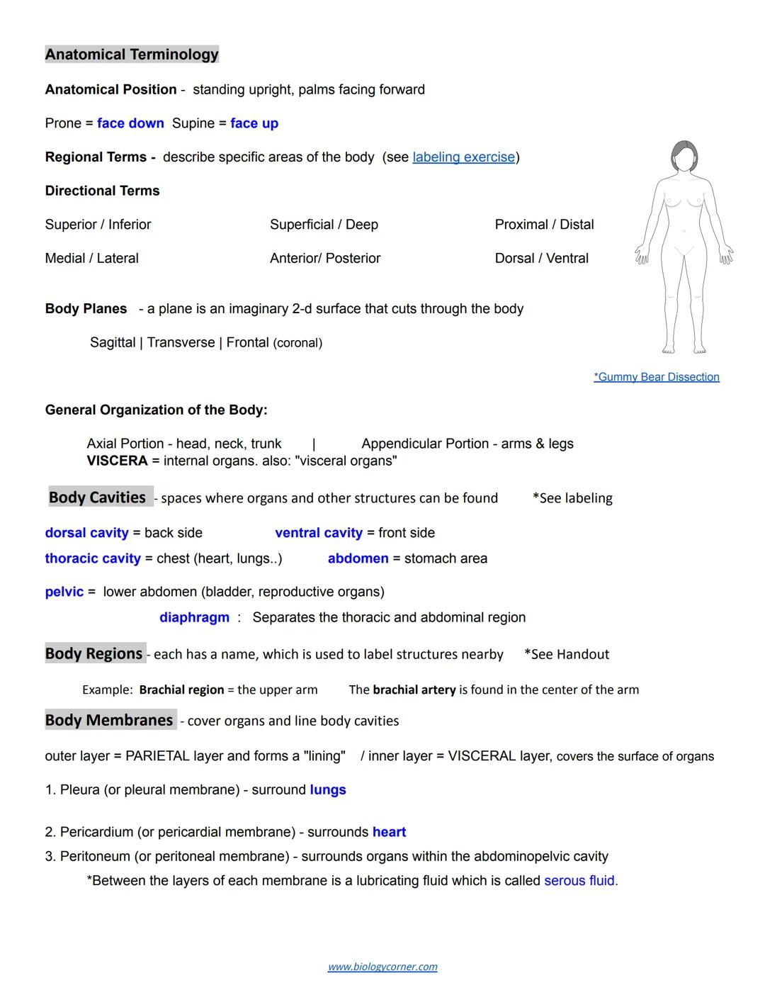 # Chapter 1: Introduction to Human Anatomy and Physiology https://goo.gl/w7GFG2

Essential Question: What happened to Kati Mori at the Londo