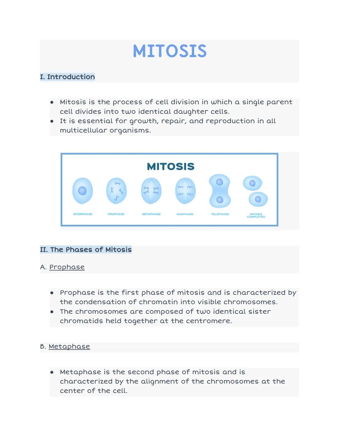 # MITOSIS

I. Introduction

- Mitosis is the process of cell division in which a single parent
cell divides into two identical daughter cell