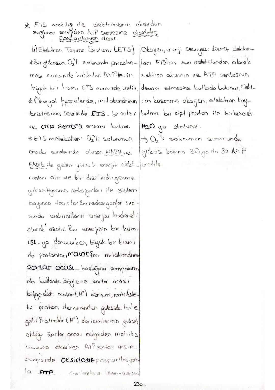 HÜCRESEL SOLUNUM

Ribozom
-Kristo ve motrikste.
Mitokondri sıvısırlı solunum enzenleri
Dış zar (matriks)
bulunur.
*Hucrelerde; glikoz, yağ a