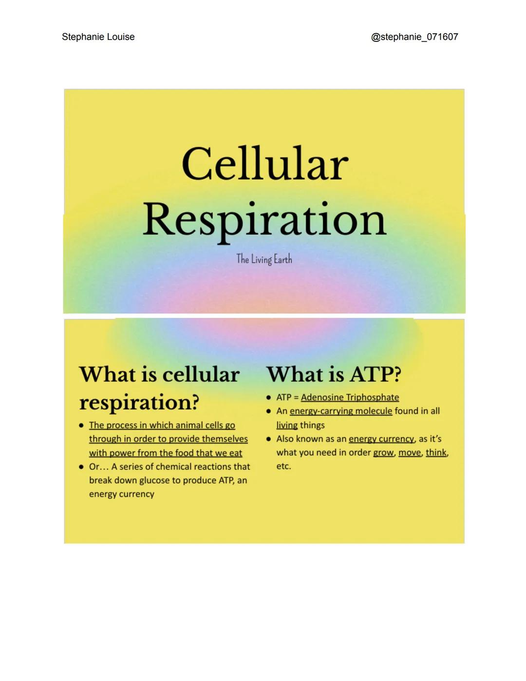 Stephanie Louise
@stephanie_071607

# Cellular

# Respiration

The Living Earth

# What is cellular
# respiration?

*   The process in which