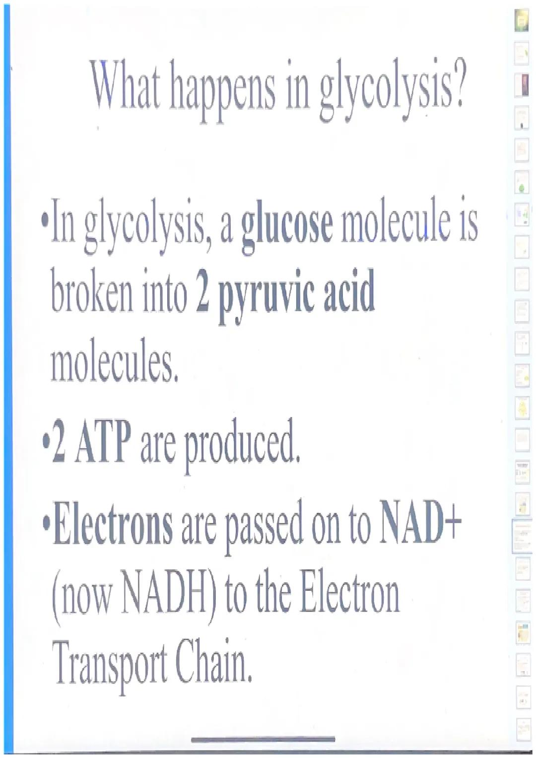 What happens in glycolysis?

•In glycolysis, a glucose molecule is
broken into 2 pyruvic acid
molecules.
•2 ATP are produced.
•Electrons are