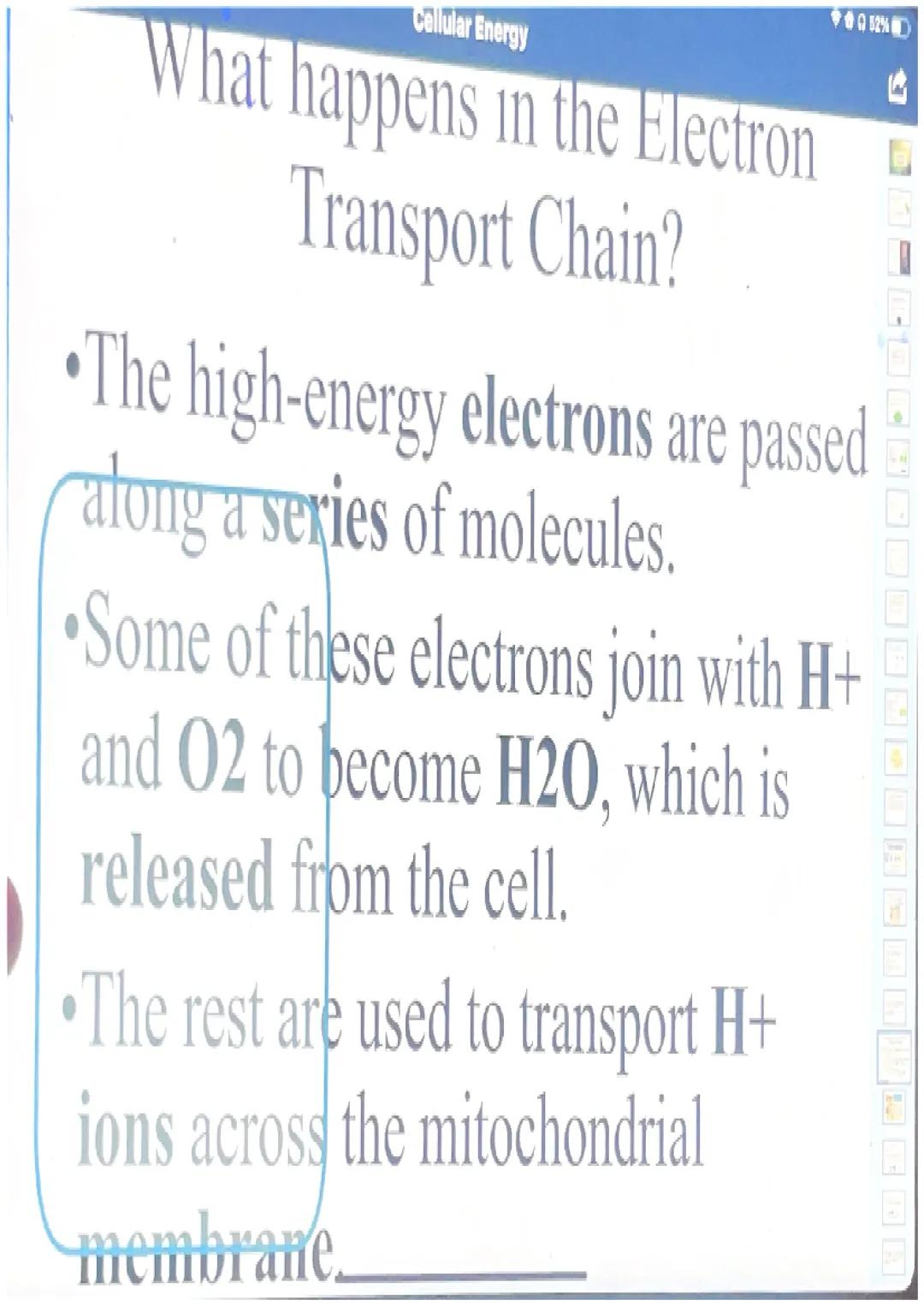 What happens in glycolysis?

•In glycolysis, a glucose molecule is
broken into 2 pyruvic acid
molecules.
•2 ATP are produced.
•Electrons are