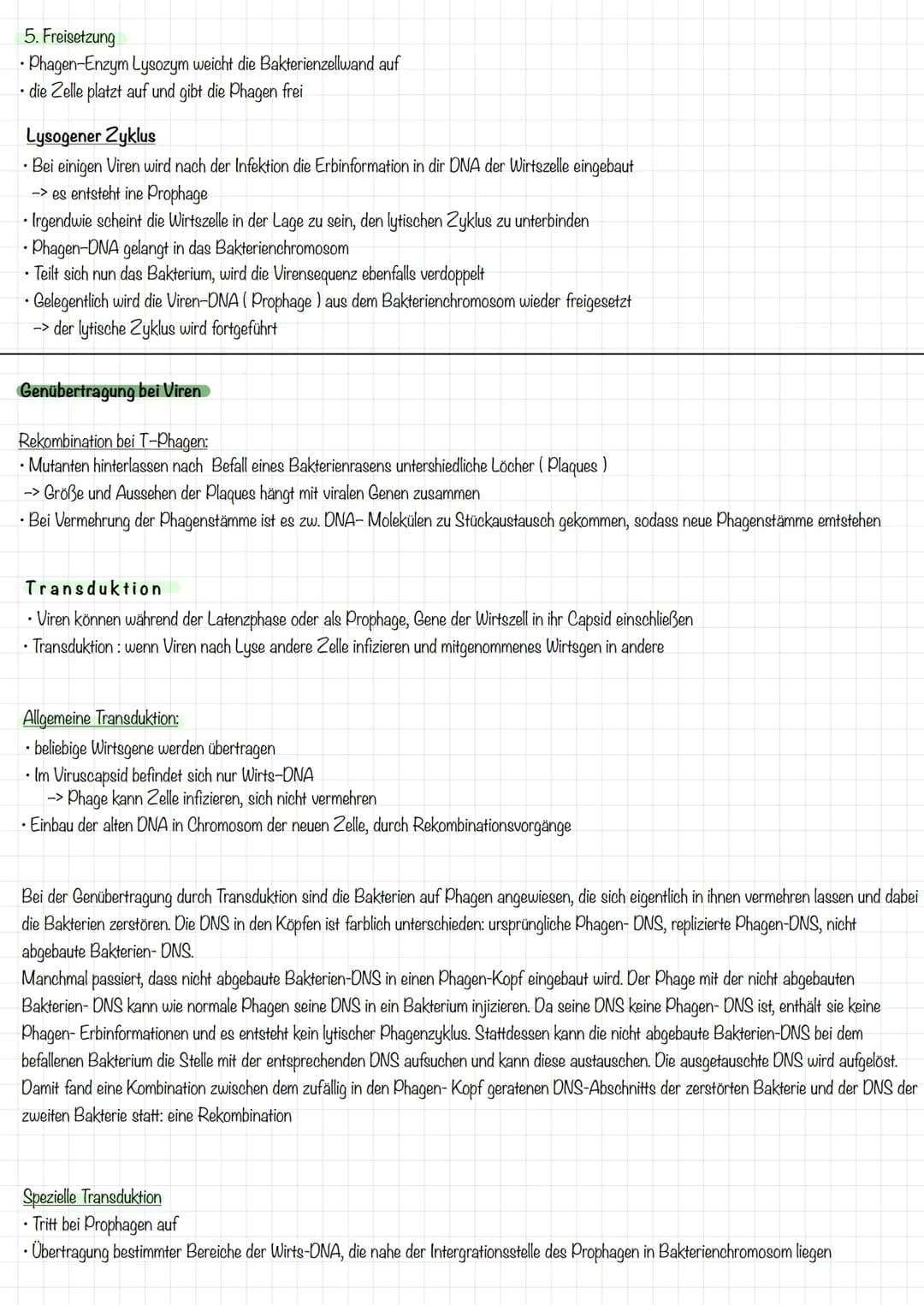 # Bau und Vermehrung von Viren

Bakteriophage

Kopf
Hals
DNA
Kragen
Scheide

Viren = Phagen

• Nicht mit Antibiotika zu behandeln

• jedes V