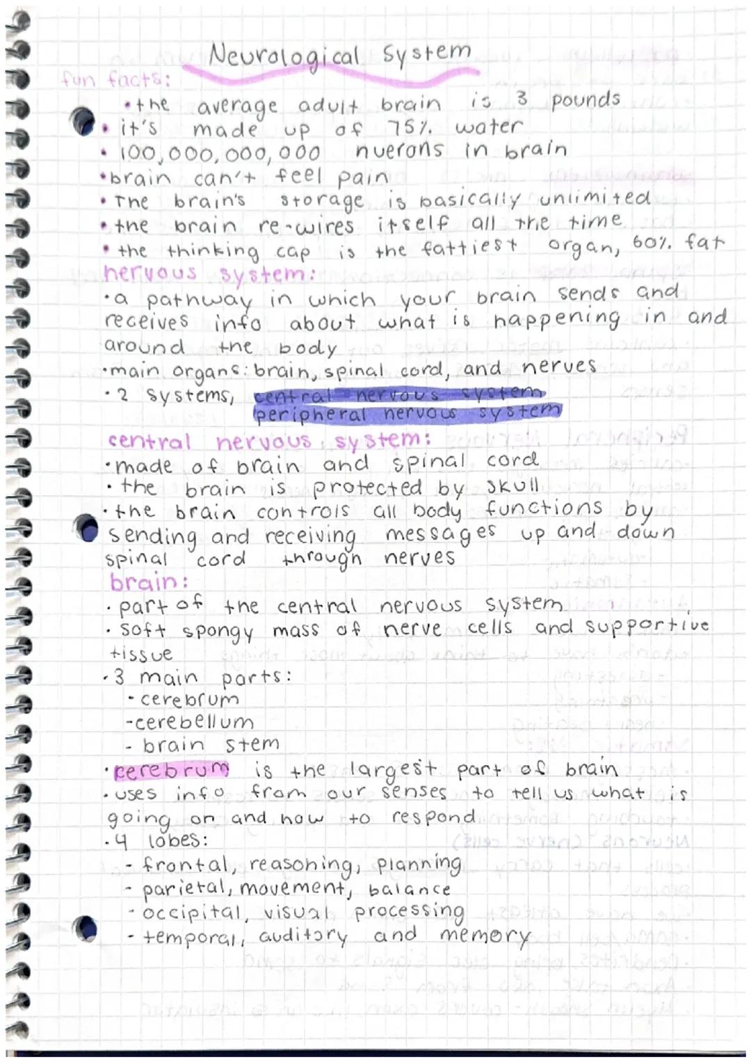 fun facts:
the
Neurological System
average adult brain is 3 pounds
it's made up of 75% water
100,000,000,000 nuerons in brain.
brain can't f