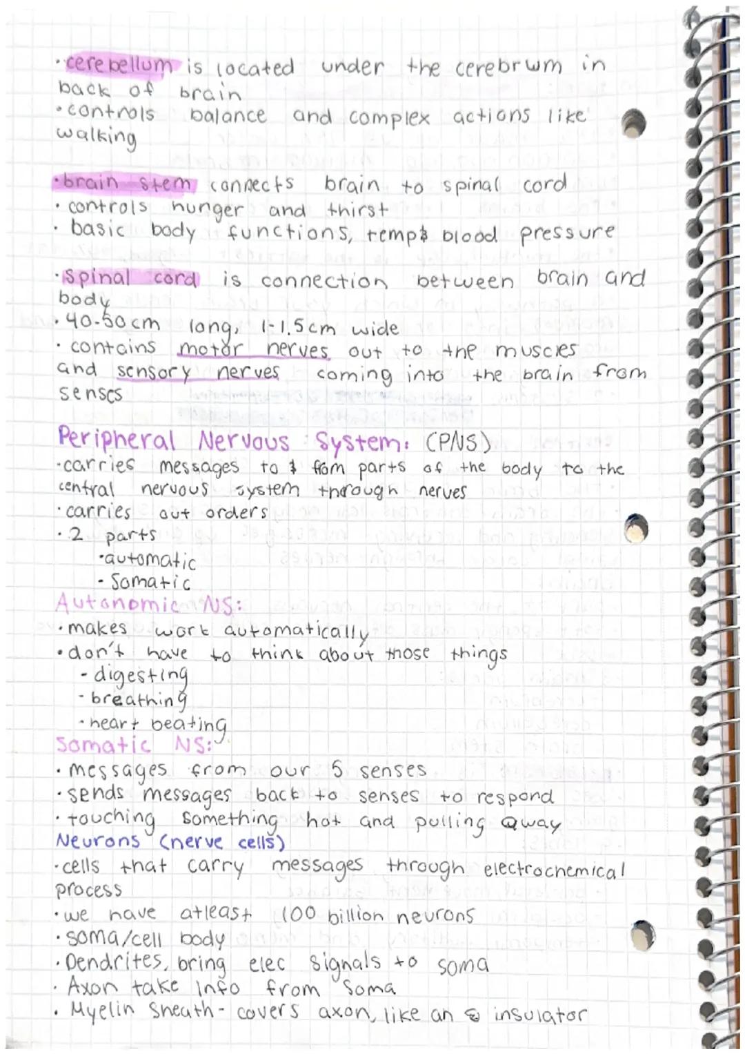 fun facts:
the
Neurological System
average adult brain is 3 pounds
it's made up of 75% water
100,000,000,000 nuerons in brain.
brain can't f