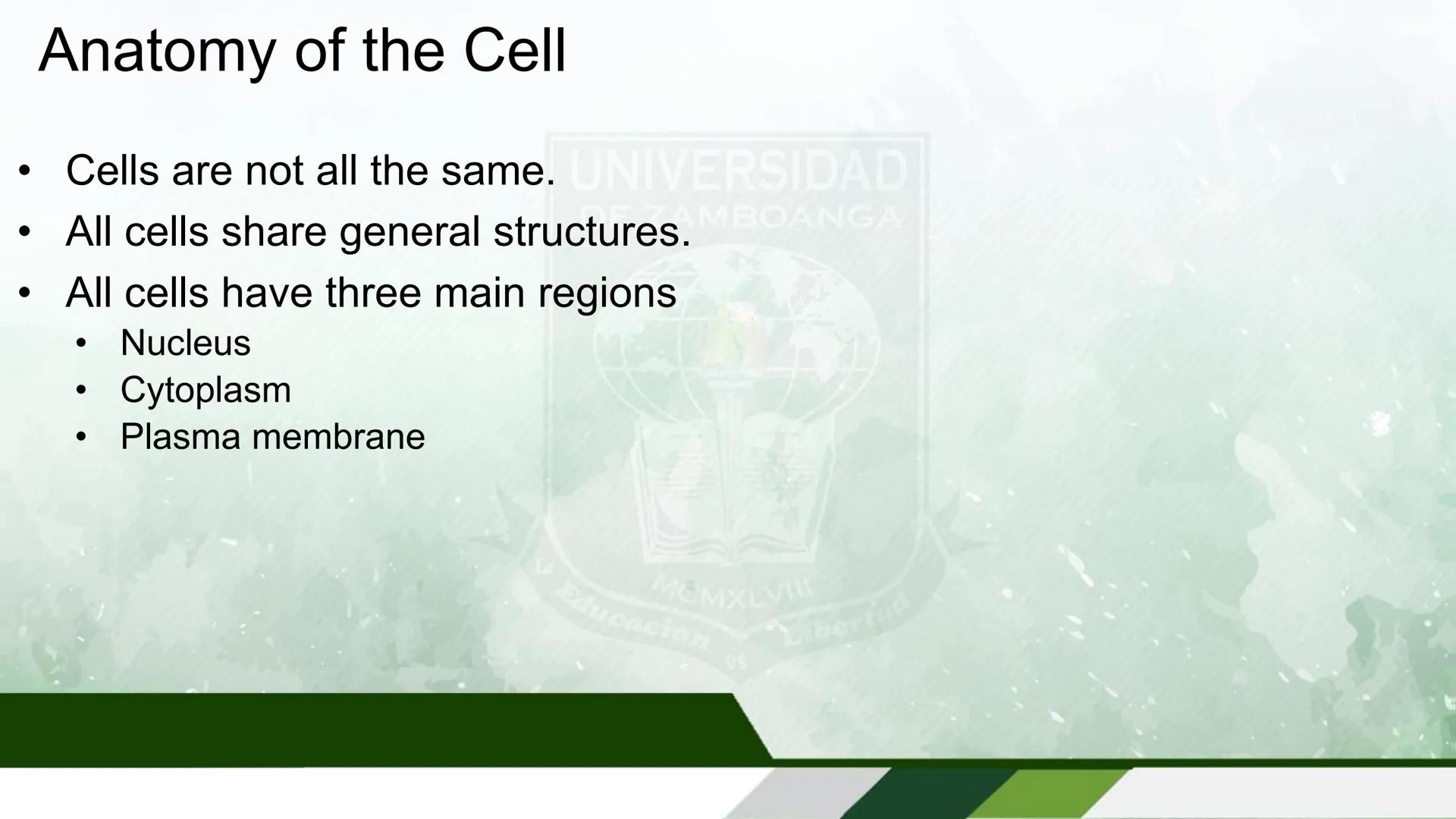 UNIVERSIDAD DE ZAMBOANGA
School of Allied Medicine
Department of Medical Technology
Human Anatomy and Physiology
With Pathophysiology
Cells 