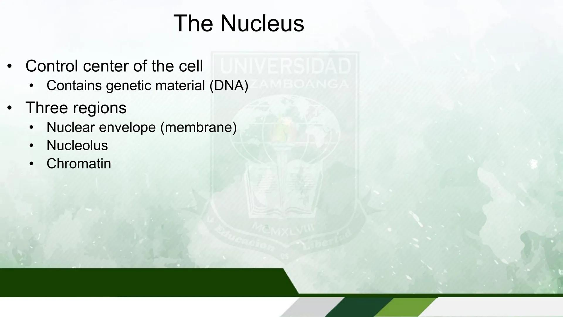UNIVERSIDAD DE ZAMBOANGA
School of Allied Medicine
Department of Medical Technology
Human Anatomy and Physiology
With Pathophysiology
Cells 