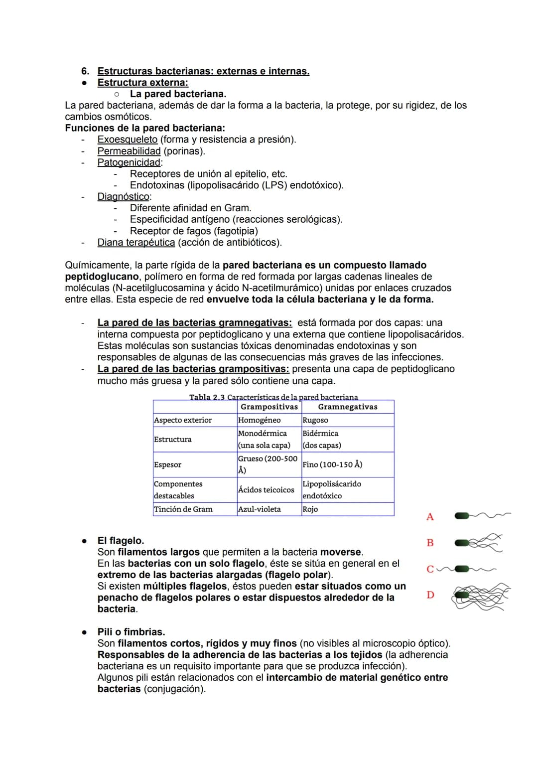 # MICROBIOLOGÍA

## TEMA 11.1: INTRODUCCIÓN A LA MICROBIOLOGÍA

1. Introducción a la microbiología.

Microbiología: Ciencia que se encarga d