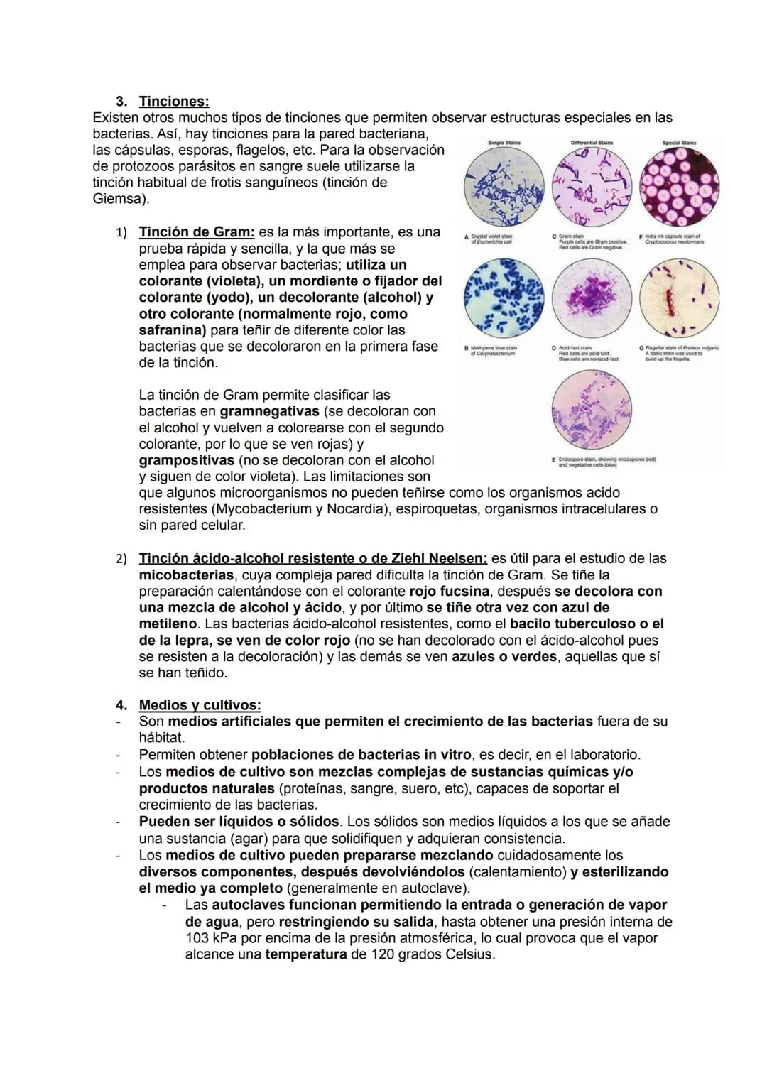 # MICROBIOLOGÍA

## TEMA 11.1: INTRODUCCIÓN A LA MICROBIOLOGÍA

1. Introducción a la microbiología.

Microbiología: Ciencia que se encarga d