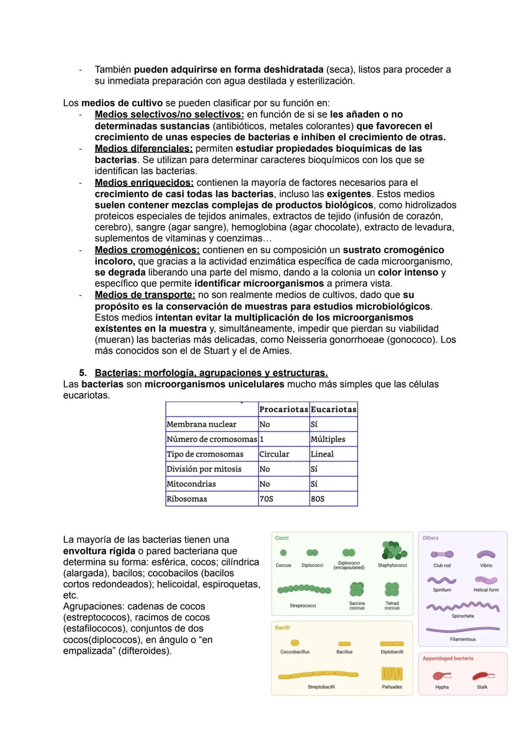 # MICROBIOLOGÍA

## TEMA 11.1: INTRODUCCIÓN A LA MICROBIOLOGÍA

1. Introducción a la microbiología.

Microbiología: Ciencia que se encarga d