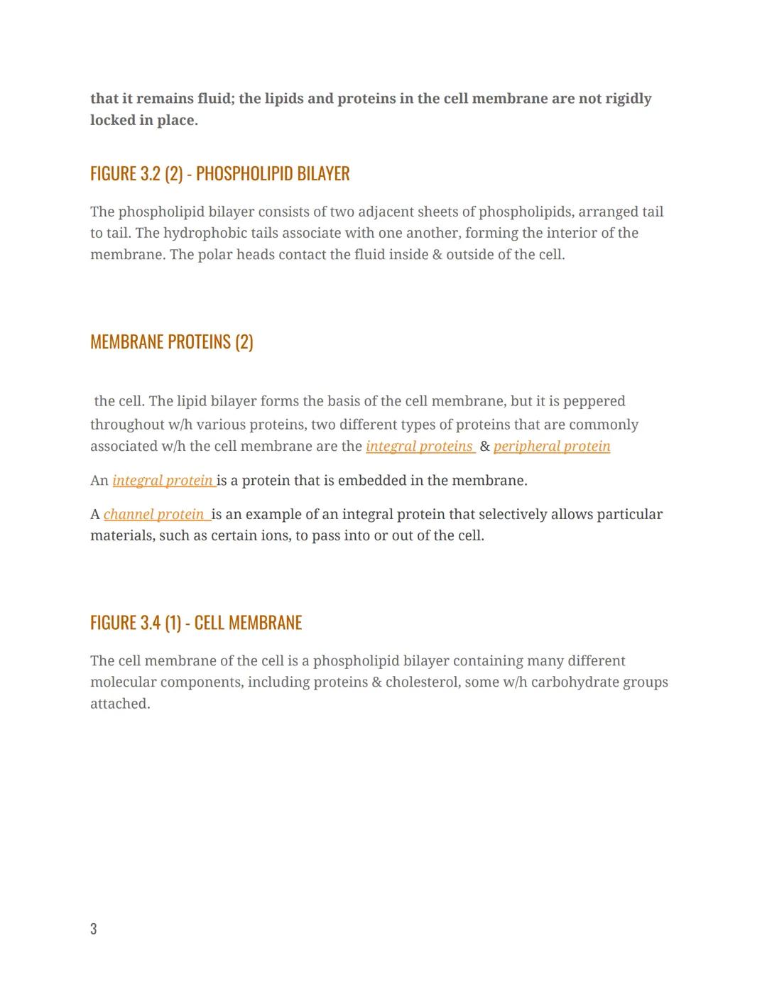 # Chapter 3.1 Anatomy Notes

Anatomy & Physiology

Chapter 3 The Cellular Level Of Organization

STRUCTURE & COMPOSITION OF THE CELL MEMBRAN