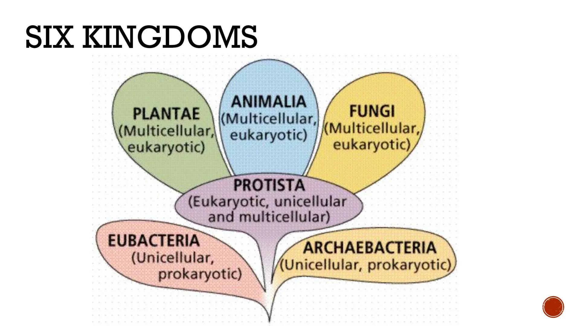 # CLASSIFICATION
OF
LIVING THINGS

Biology X # TAXONOMY

*   Taxonomy: field of biology that
    identifies and classifies organisms
*   Gre