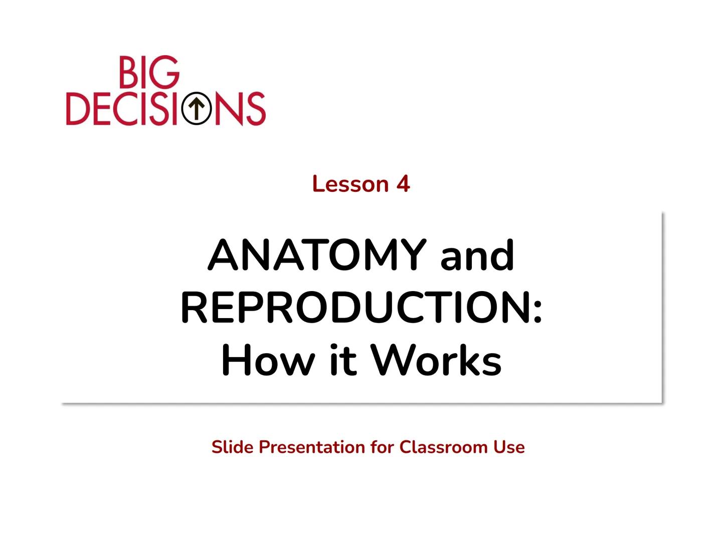 Making Healthy,
Informed Choices
about Sex

BIG
DECISIONS

Slide Presentation for Classroom Use

Copyright © 2016 Janet P. Realini, MD, MPH 