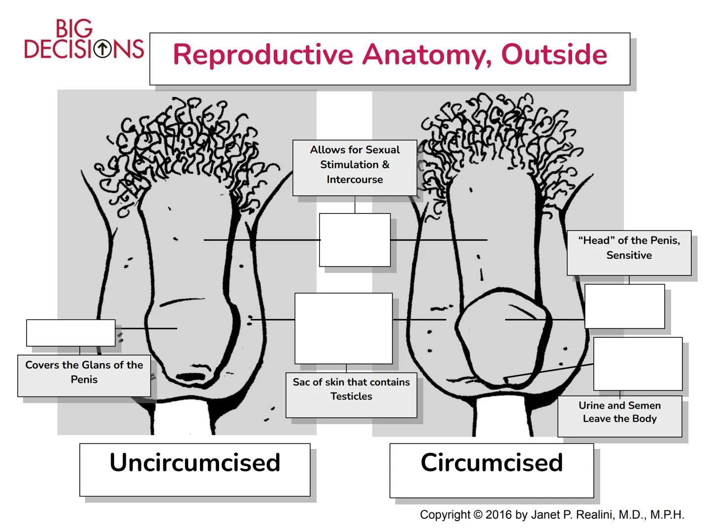 Making Healthy,
Informed Choices
about Sex

BIG
DECISIONS

Slide Presentation for Classroom Use

Copyright © 2016 Janet P. Realini, MD, MPH 